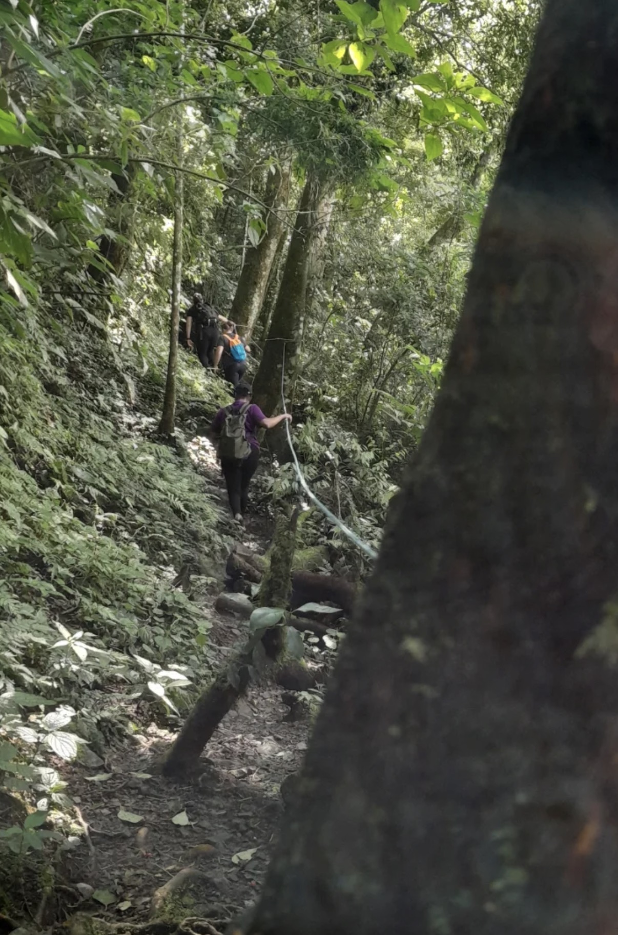 Trilha Pico dos Dois Dedos
